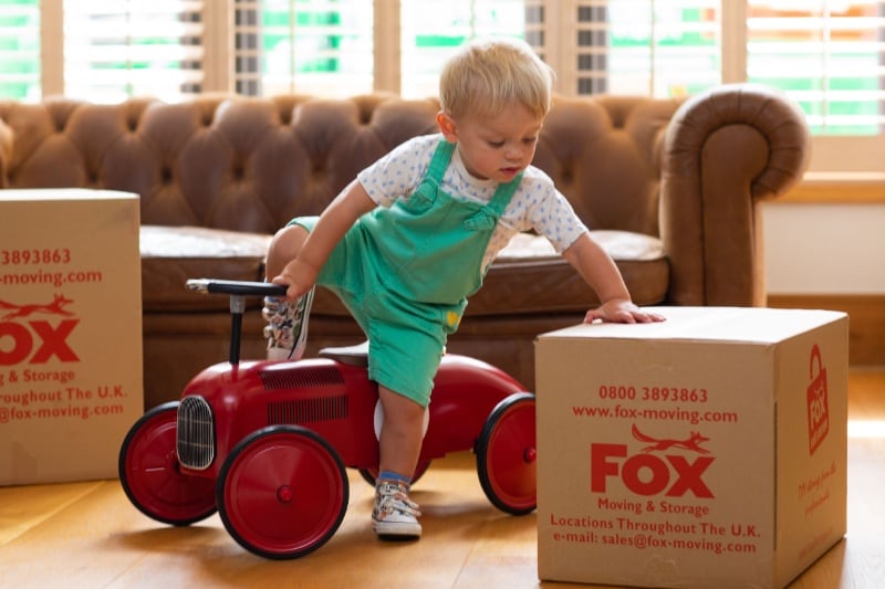 fox moving and storage boxes for packing during a move