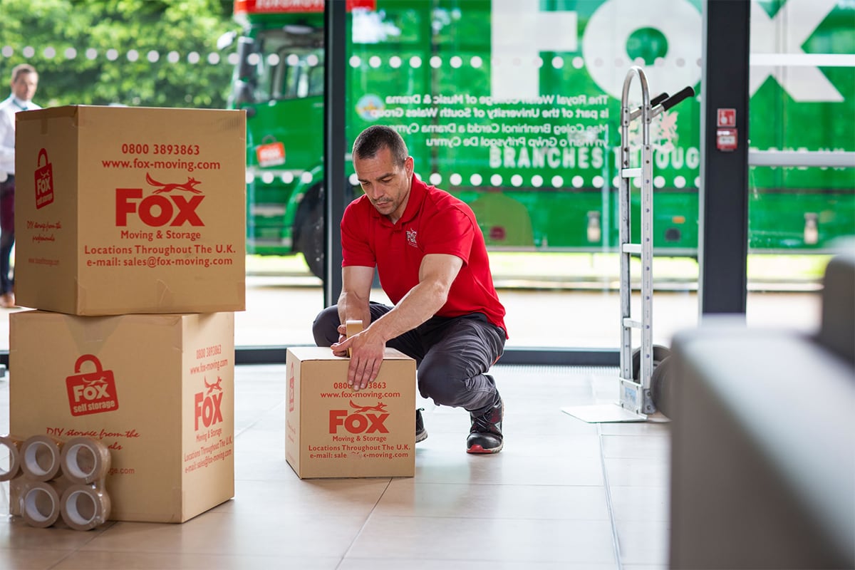 fox moving and storage mover packaging boxes for a move