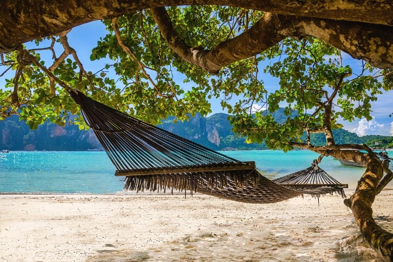 hammock on a sunny beach